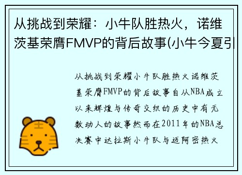 从挑战到荣耀：小牛队胜热火，诺维茨基荣膺FMVP的背后故事(小牛今夏引援重点在cba)