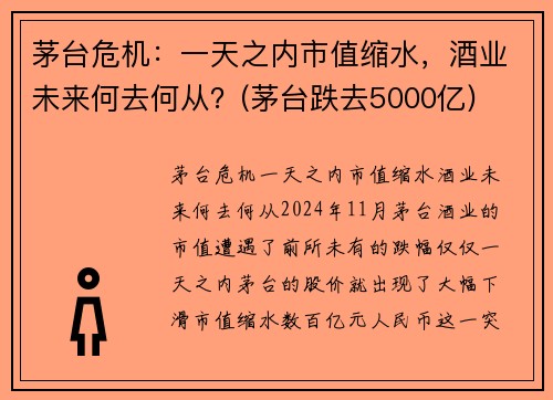 茅台危机：一天之内市值缩水，酒业未来何去何从？(茅台跌去5000亿)