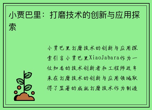小贾巴里：打磨技术的创新与应用探索